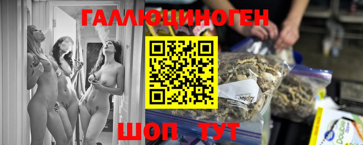 Галлюциногенные грибы Psilocybine cubensis  Псилоцибиновые грибы прущие грибы  Вход с VPN  Чайковский 